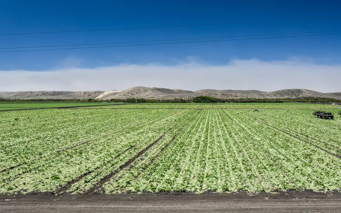 3k田野壁纸｜田园背景图片 - 自然风景「哲风壁纸」