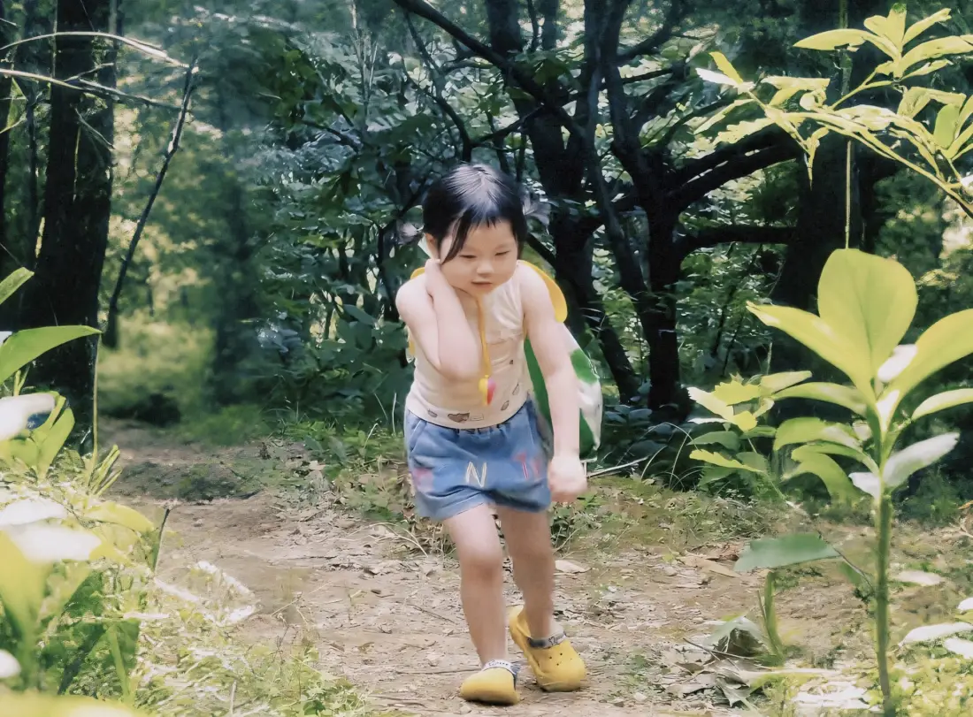 2k瑶一瑶壁纸｜自然风景背景图片 - 树林「哲风壁纸」