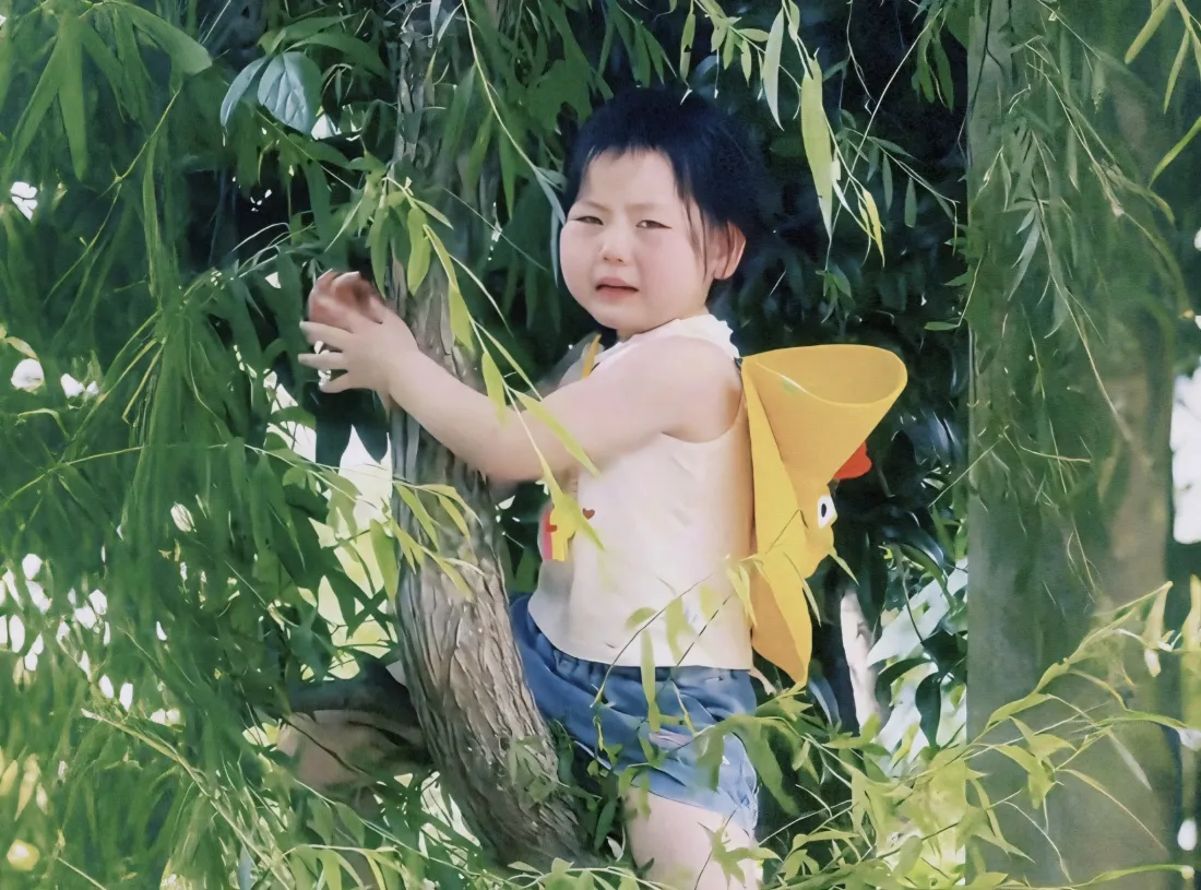 2k瑶一瑶壁纸｜柳树背景图片 - 童趣「哲风壁纸」