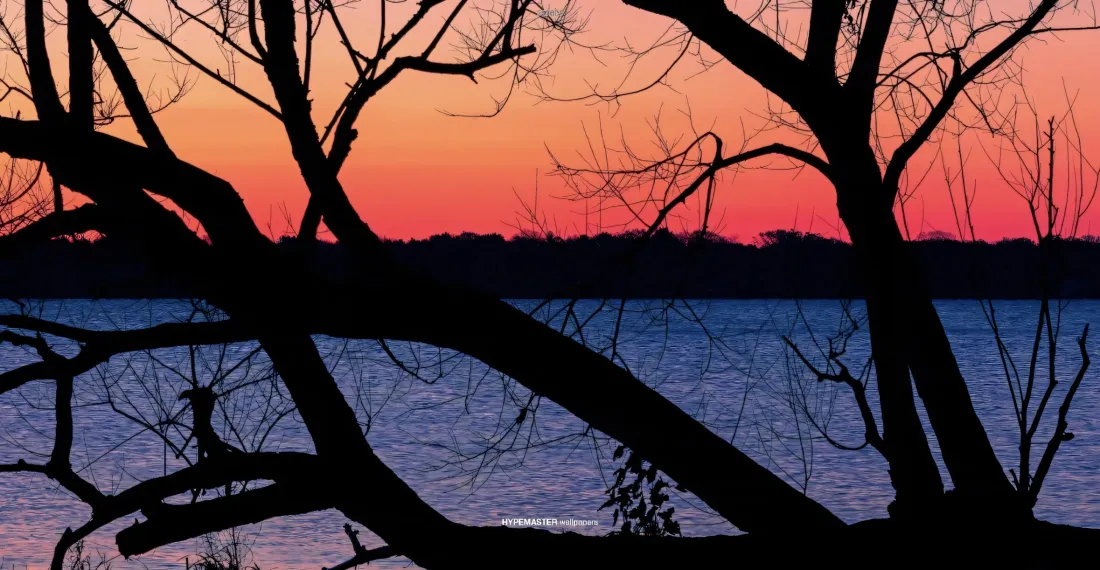 2k树枝晚霞壁纸｜湖水背景图片 - 黄昏自然风景「哲风壁纸」