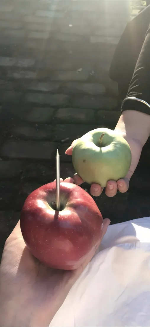 苹果手机壁纸｜阳光背景图片 - 红青苹果人手「哲风壁纸」