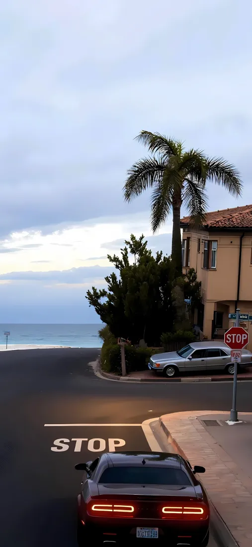 海边街道手机壁纸｜滨海风景图片 - 棕榈树房屋「哲风壁纸」