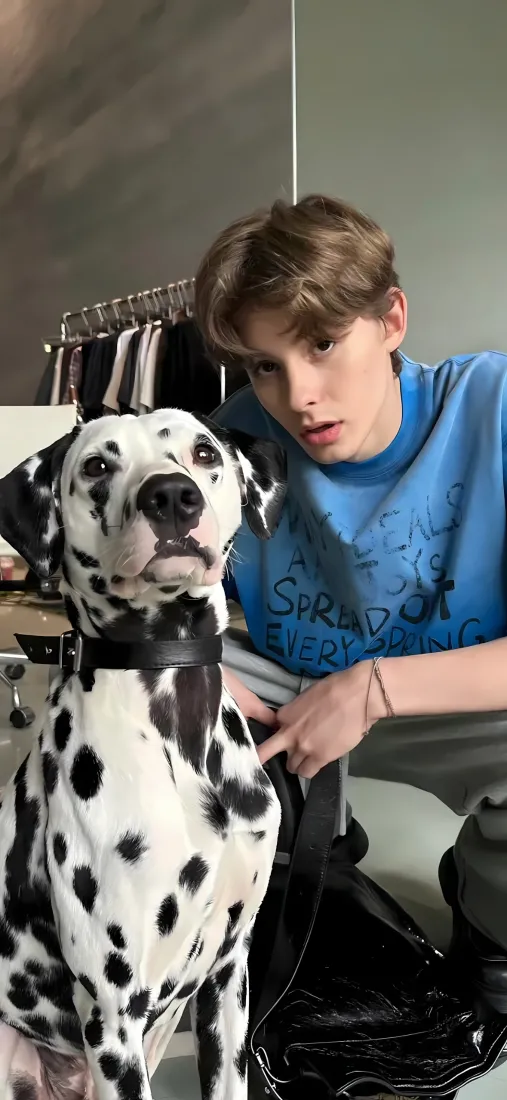 斑点狗手机壁纸｜居家背景图片 - 美式男孩互动「哲风壁纸」