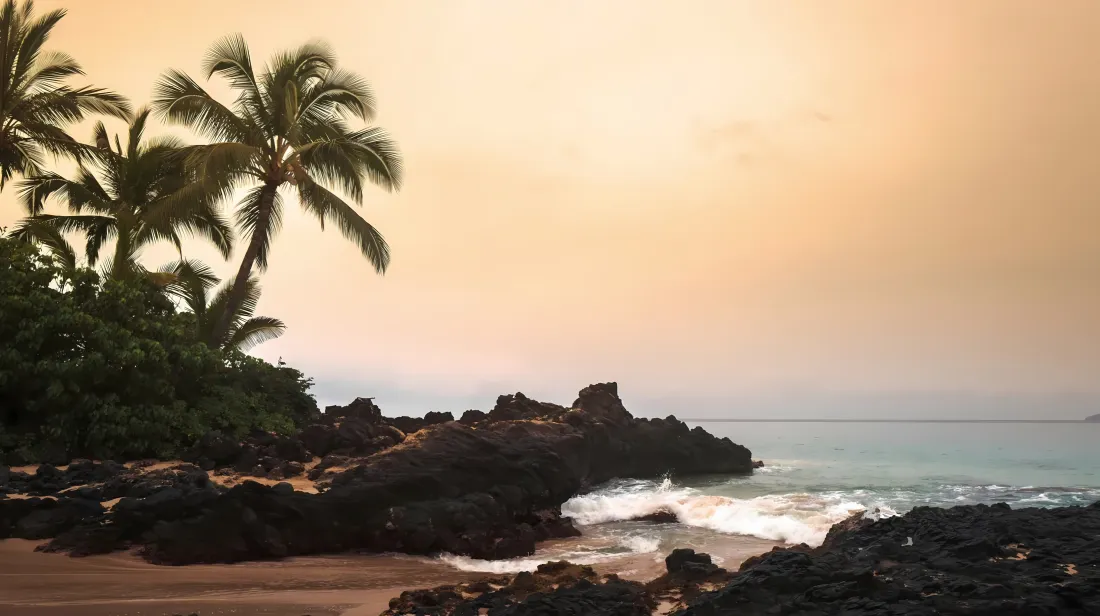 5k自然风景壁纸｜海边背景图片 - 岩石棕榈树「哲风壁纸」