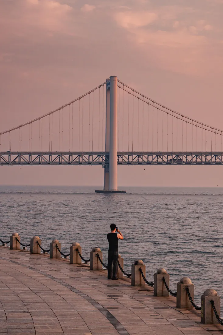 大连跨海大桥手机壁纸｜海边背景图片 - 粉色黄昏「哲风壁纸」