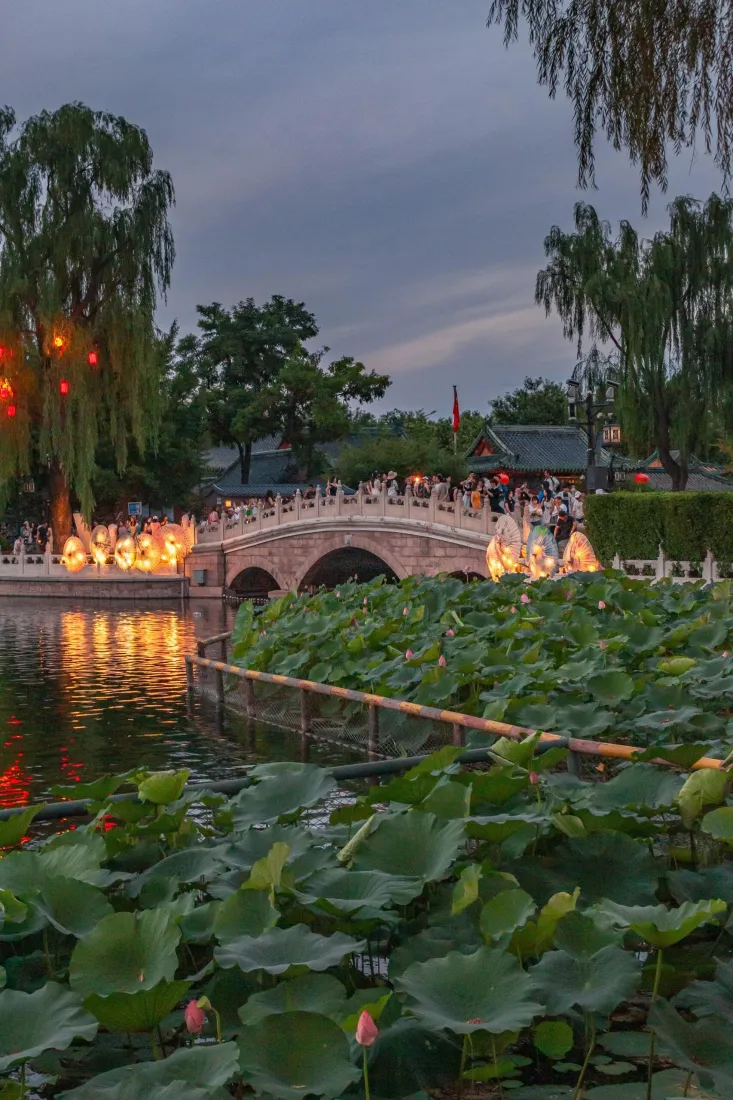 北京荷塘手机壁纸｜拱桥夜景背景图片 - 中国「哲风壁纸」