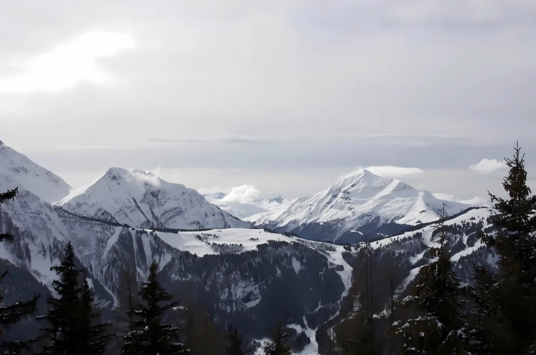 3k雪山树林壁纸｜雪山背景图片 - 自然风景「哲风壁纸」