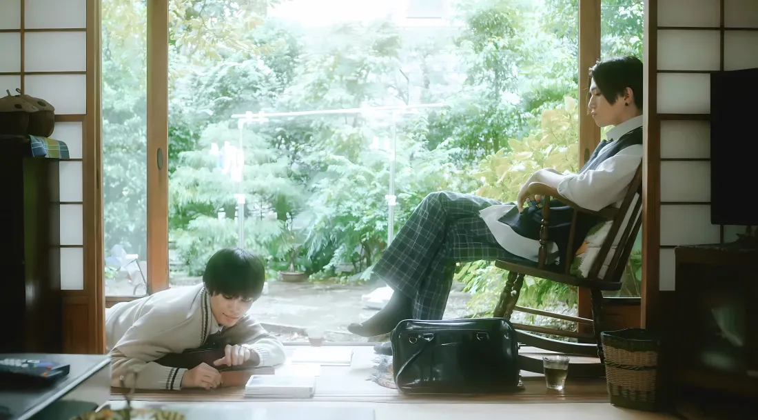 4k《美丽的他》壁纸｜日式房间背景 - 绿植室内互动「哲风壁纸」