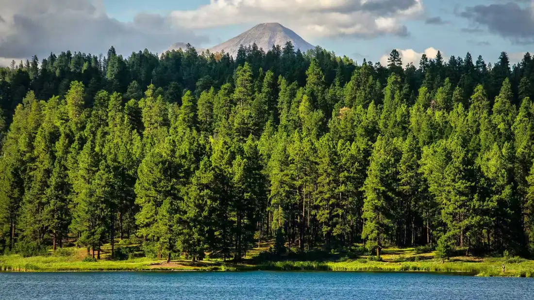 2k森林湖泊远山壁纸｜自然风景背景图片 - 高清「哲风壁纸」