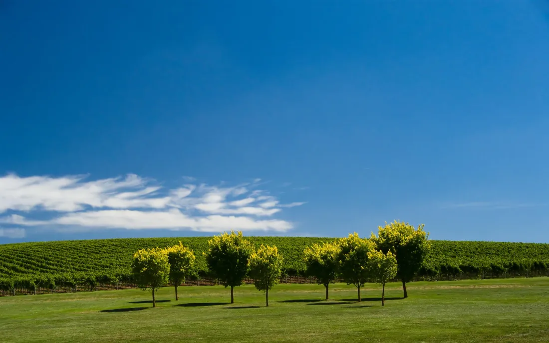 3k自然风景壁纸｜田野背景图片 - 蓝天草地绿树「哲风壁纸」