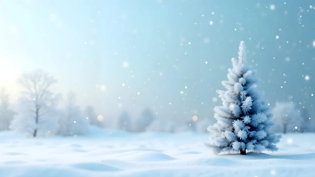 4k雪景壁纸｜雪地背景图片 - 松树白雪蓝天「哲风壁纸」