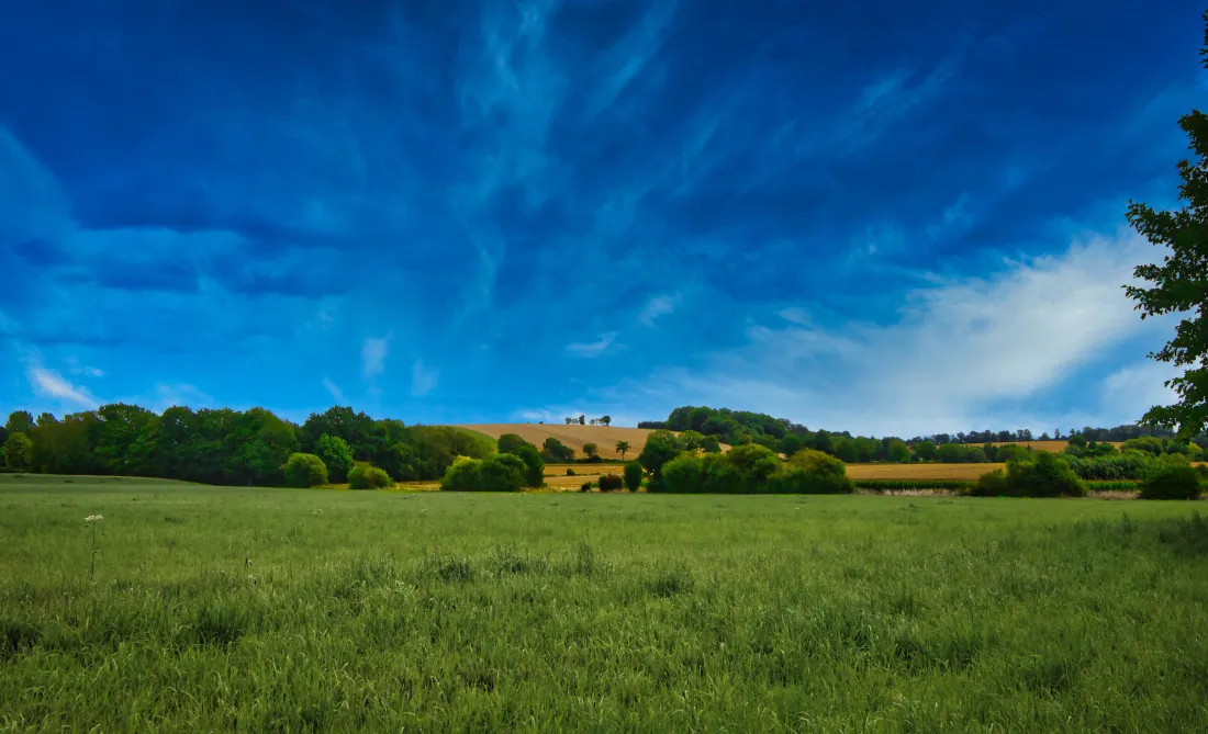 6k草原蓝天壁纸｜自然风景背景 - 田野树木「哲风壁纸」