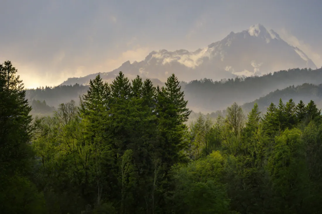 5k自然风景壁纸｜树林背景图片 - 山峰晨雾「哲风壁纸」