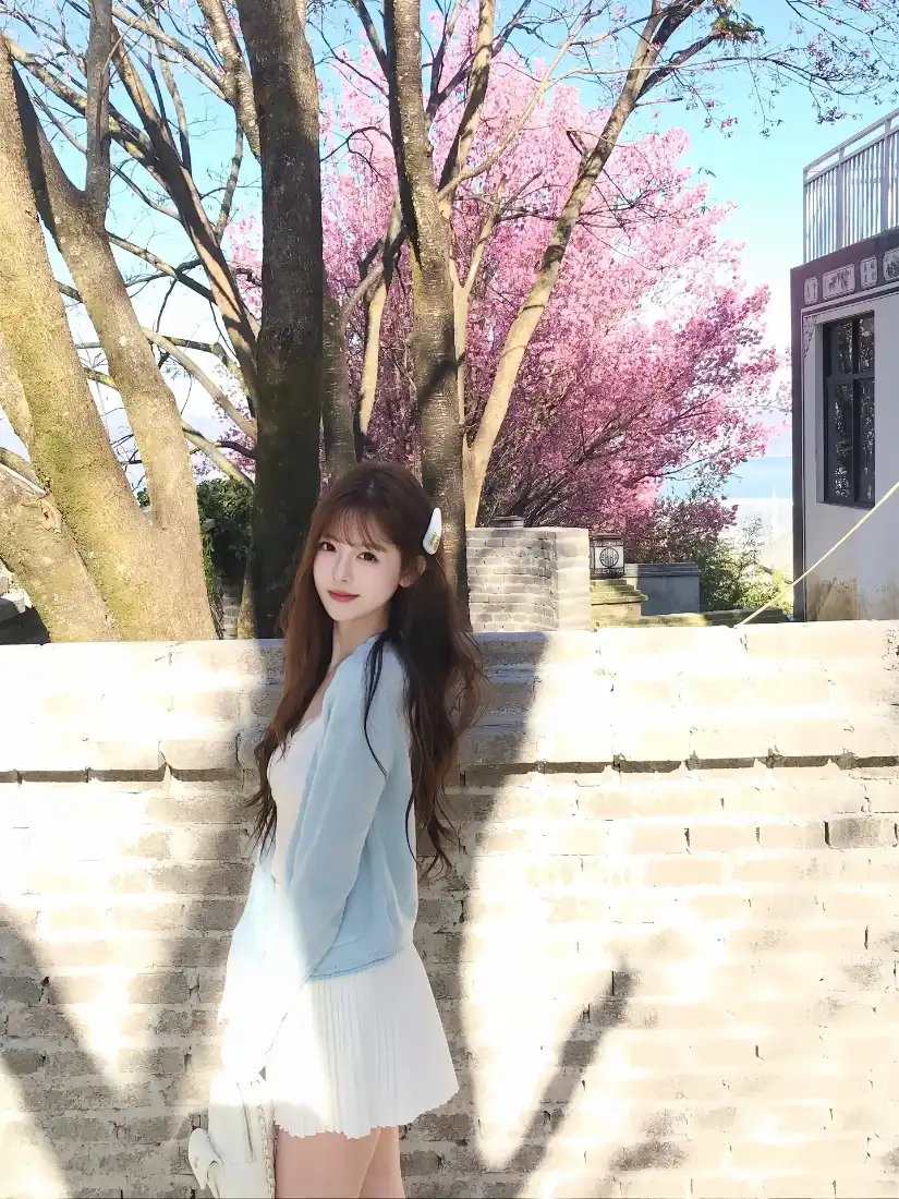 美女手机壁纸｜樱花树背景图片 - 蓝天「哲风壁纸」