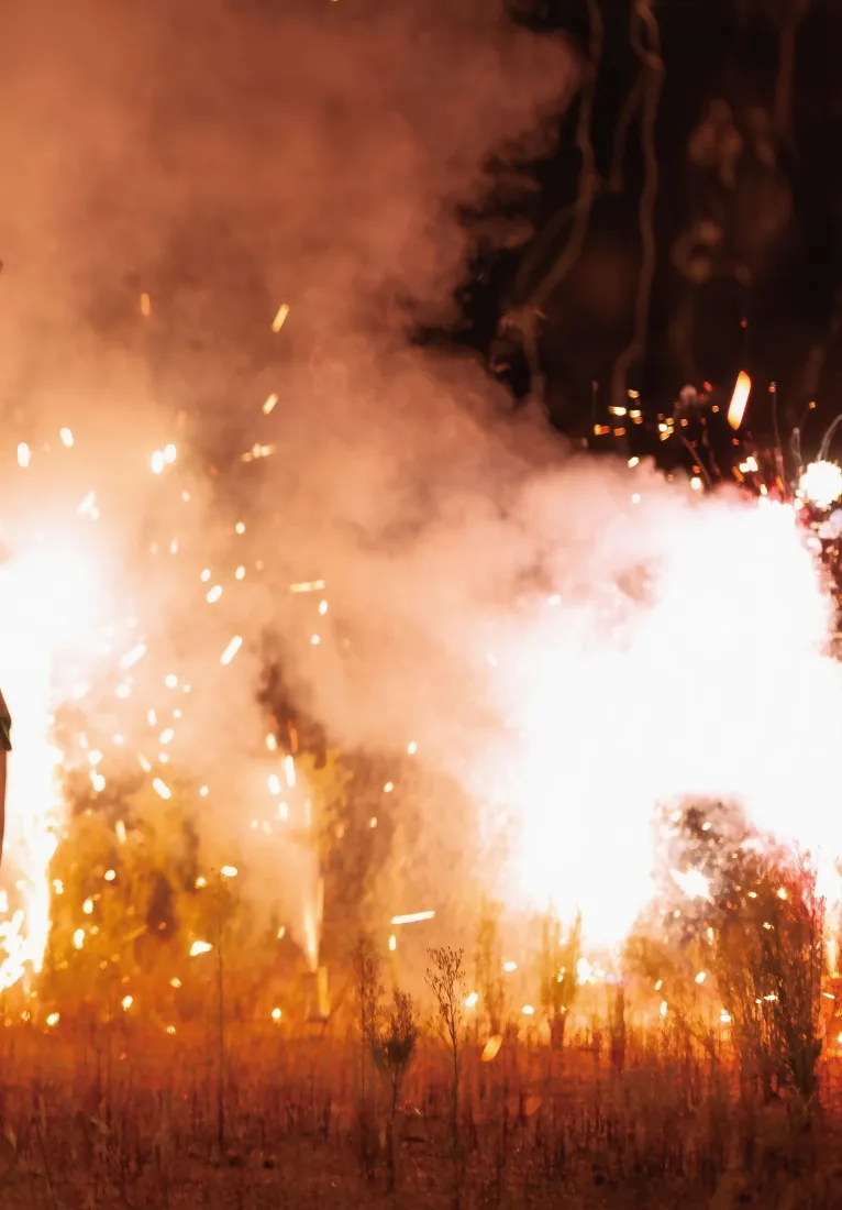 烟火手机壁纸｜户外背景图片 - 草地树木火花「哲风壁纸」