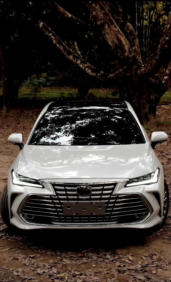 丰田亚洲龙手机壁纸｜自然风景背景图片 - 白色轿车「哲风壁纸」