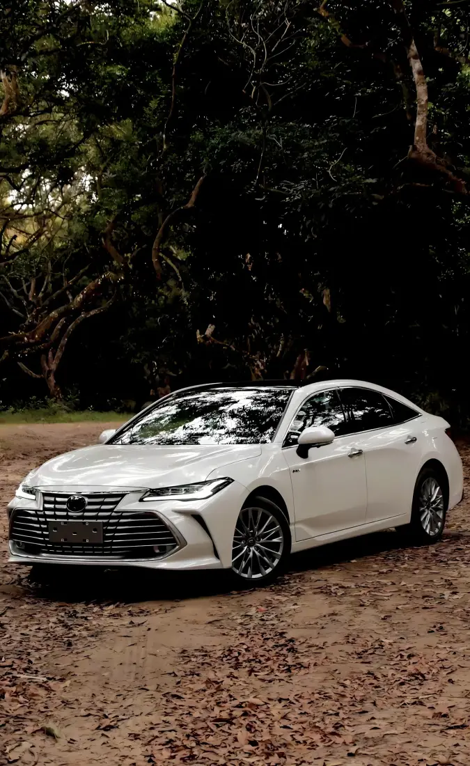 丰田亚洲龙手机壁纸｜树林泥土路背景 - 白色汽车「哲风壁纸」