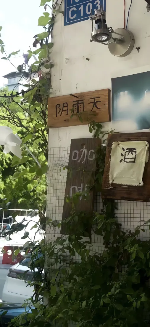 阴雨天绿植墙面手机壁纸｜户外街道背景 - 明日晴天「哲风壁纸」