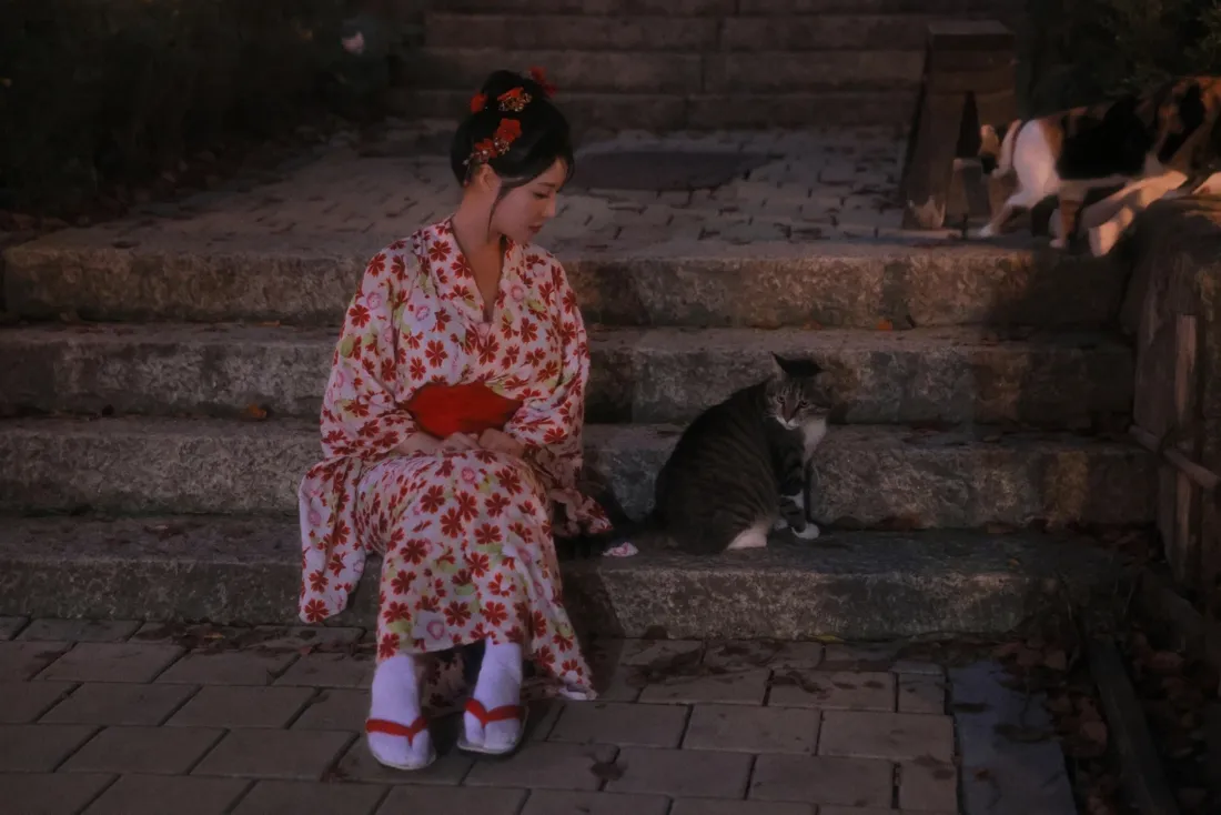 和服女子手机壁纸｜夜景背景图片 - 猫咪互动「哲风壁纸」