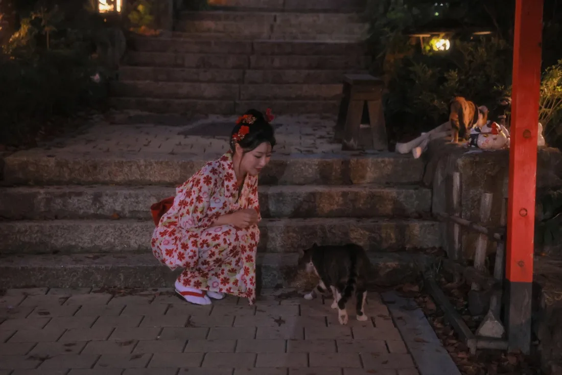 和服女孩手机壁纸｜日式庭院背景图片 - 夜晚小狗「哲风壁纸」