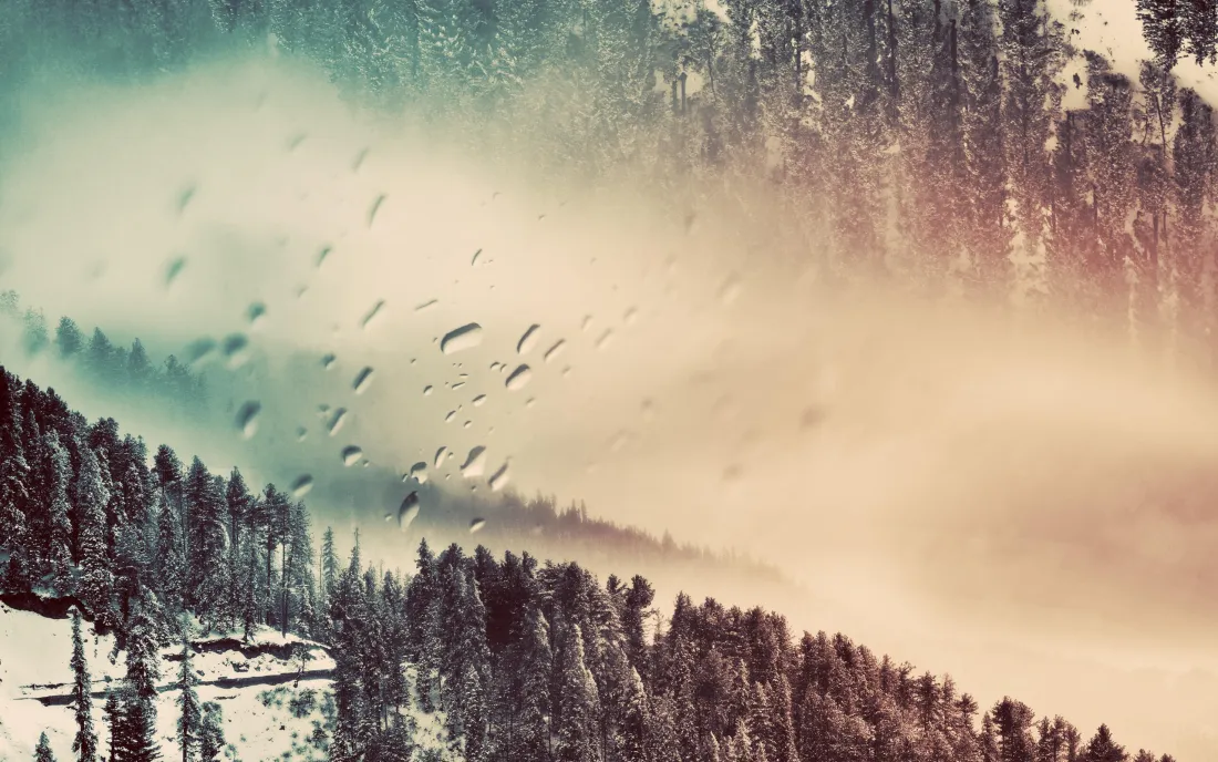 3k雪景森林壁纸｜自然风景背景图片 - 飞鸟雾气冬季「哲风壁纸」