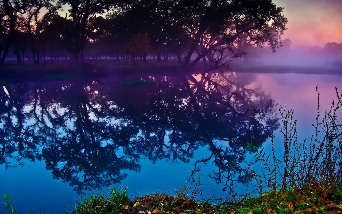 3k自然风景壁纸｜湖泊晨雾背景图片 - 树木倒影「哲风壁纸」
