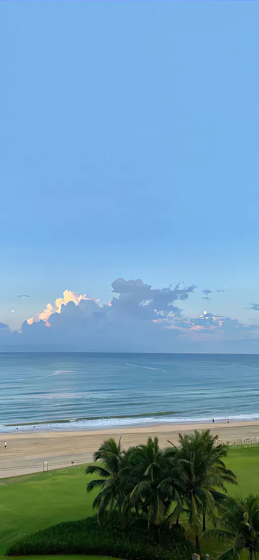 海滩手机壁纸｜海滨背景图片 - 蓝天棕榈树海景「哲风壁纸」