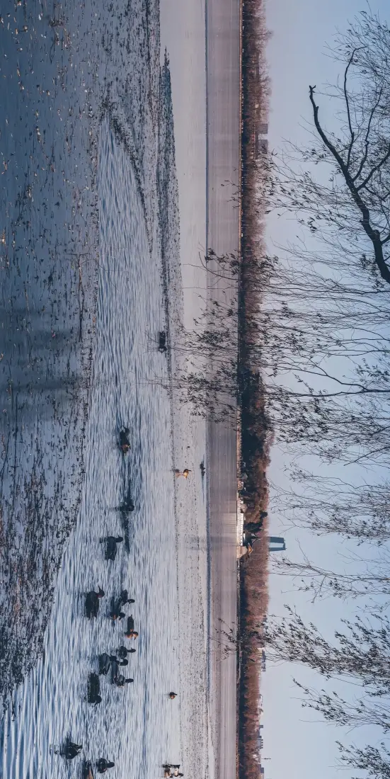 颐和园手机壁纸｜北京背景图片 - 自然风景「哲风壁纸」