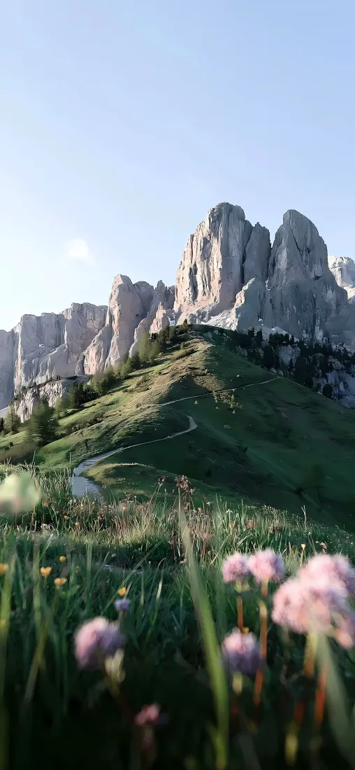 自然风景手机壁纸｜山峰草地背景图片 - 野花蓝天「哲风壁纸」