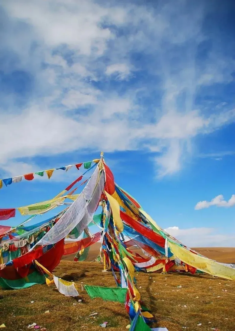 经幡手机壁纸｜蓝天背景图片 - 草原自然风光「哲风壁纸」