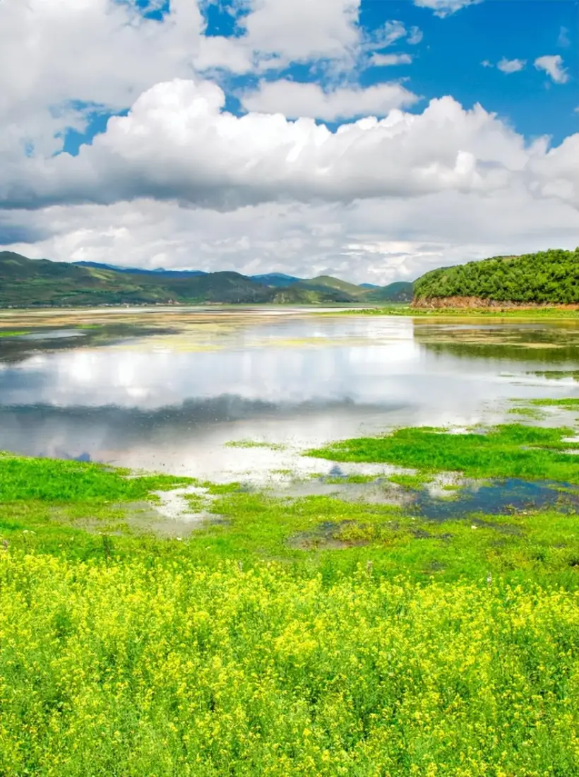 自然风景手机壁纸｜湖泊背景 - 草地蓝天白云山峦「哲风壁纸」
