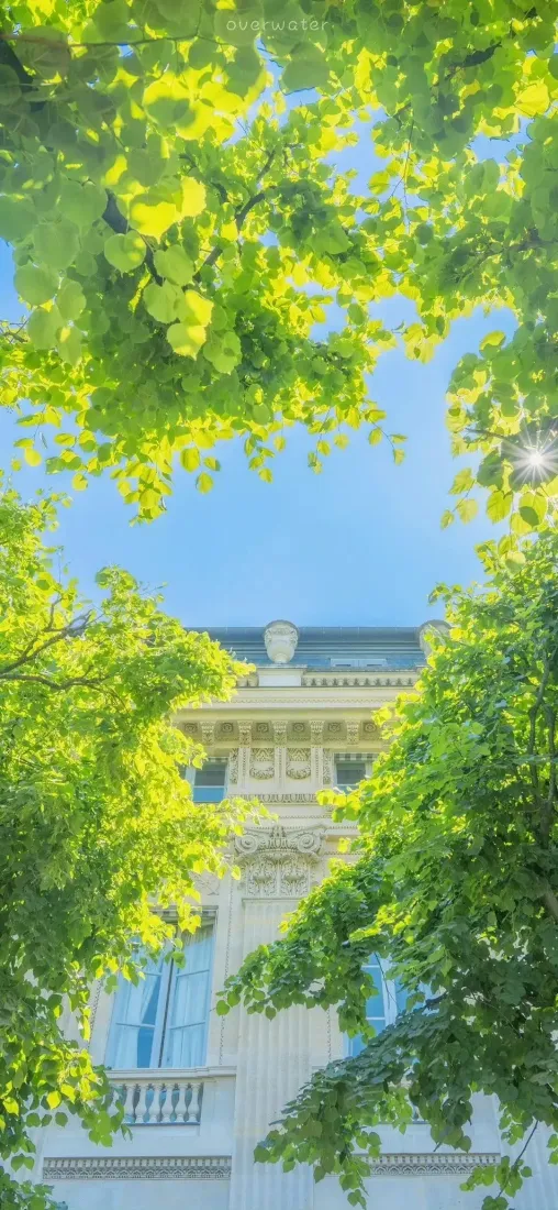 绿树蓝天手机壁纸｜白色建筑背景图片 - 自然风景「哲风壁纸」