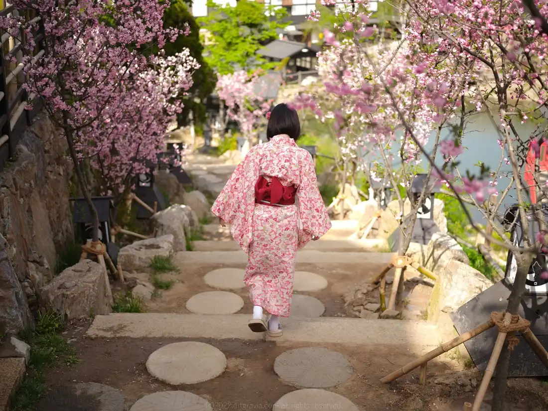 2k粉色和服樱花壁纸｜日式庭院背景图片 - 户外写真「哲风壁纸」