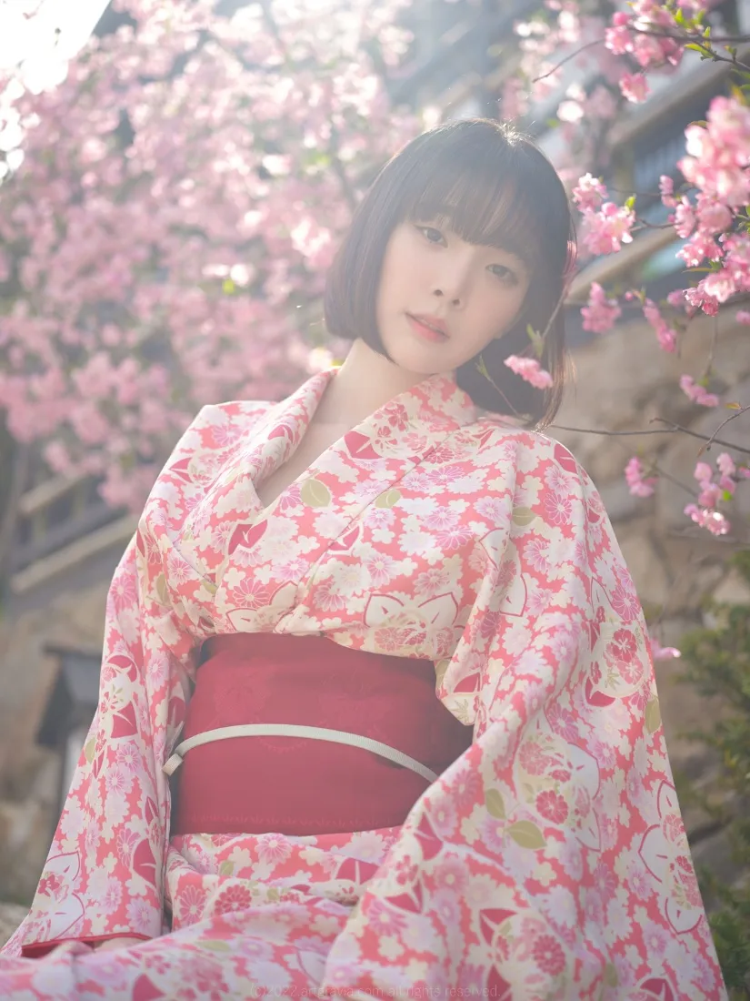 粉色和服手机壁纸｜樱花背景图 - 日式写真「哲风壁纸」