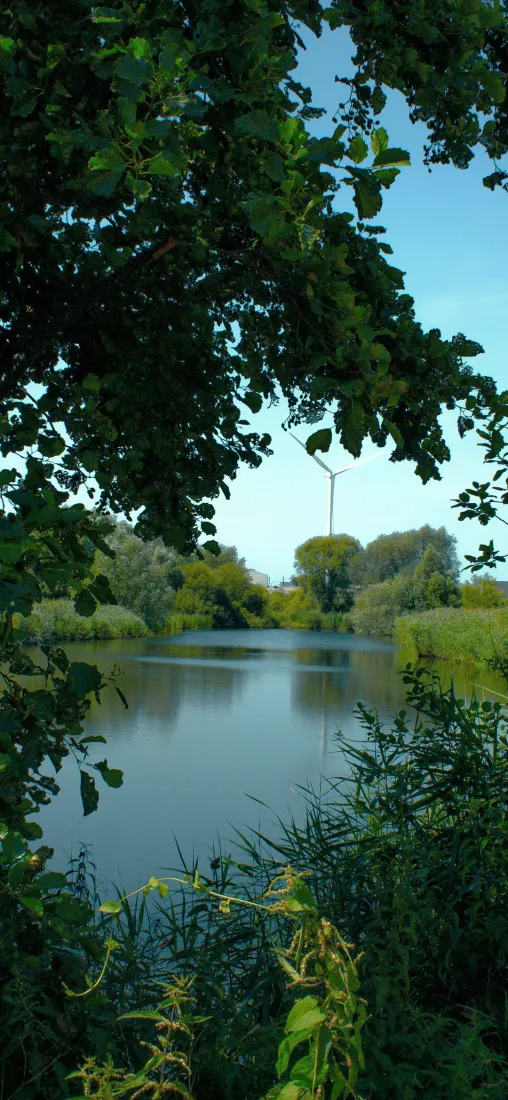 自然风景手机壁纸｜湖水背景图片 - 绿植蓝天河畔「哲风壁纸」