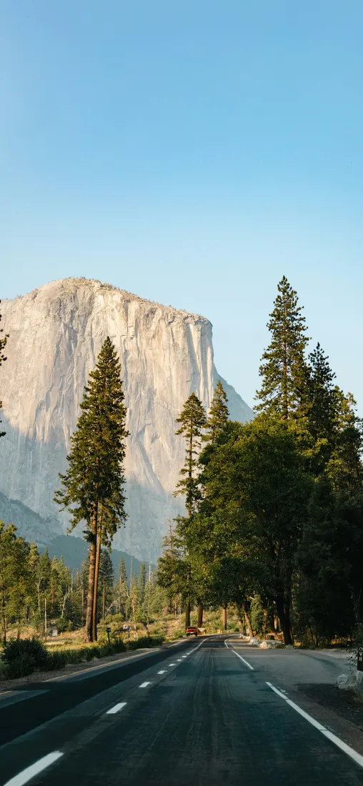 自然风景手机壁纸｜公路背景图片 - 岩石山松树蓝天「哲风壁纸」