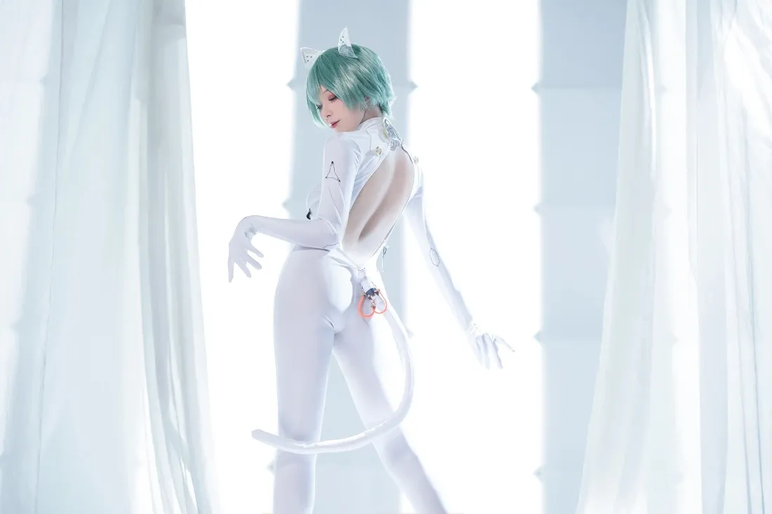 白色小猫拟人手机壁纸｜白色背景图片 - 室内「哲风壁纸」