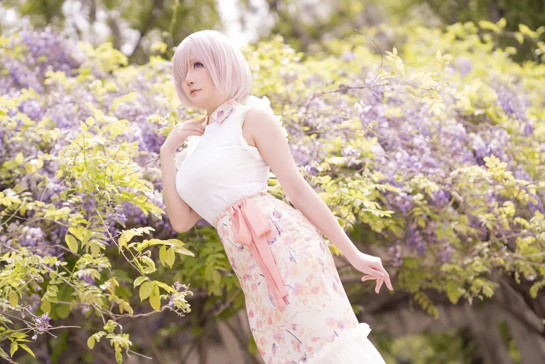 2k玛修·基列莱特壁纸｜紫藤花背景图片 - 户外白色「哲风壁纸」