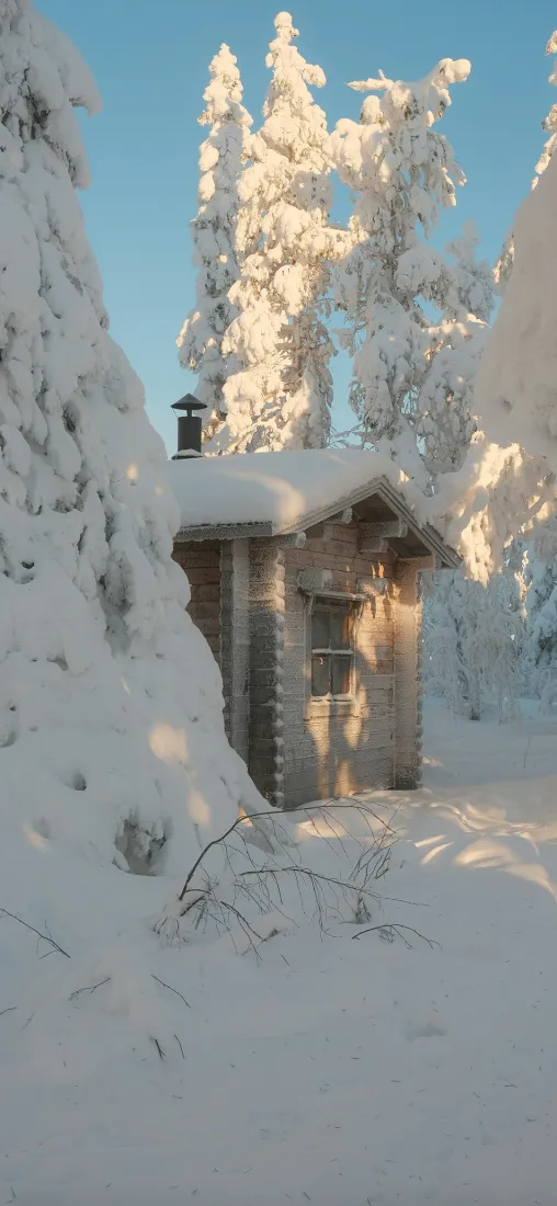 小木屋手机壁纸｜森林雪景背景图片 - 白雪覆盖「哲风壁纸」