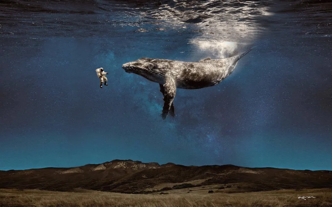 3k鲸鱼大海壁纸｜水下背景图片 - 海洋生物互动「哲风壁纸」