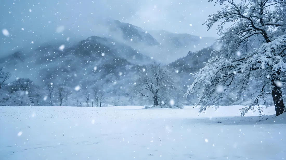 5k雪景壁纸｜雪景背景图片 - 雪山雪树银装素裹「哲风壁纸」