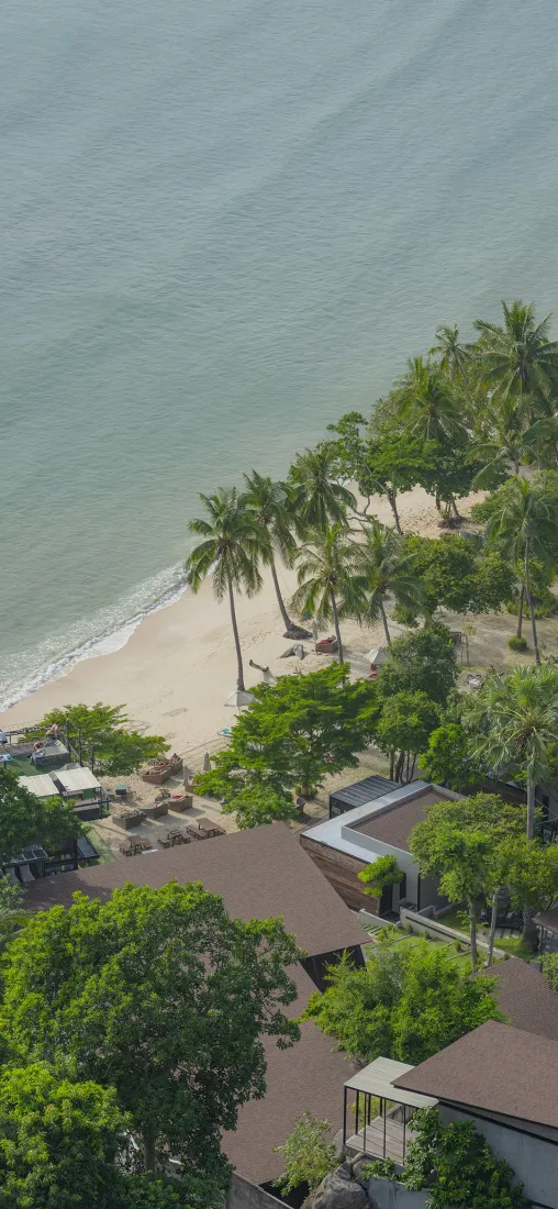 海边海景房手机壁纸｜棕榈树背景图片 - 热带海滨风光「哲风壁纸」