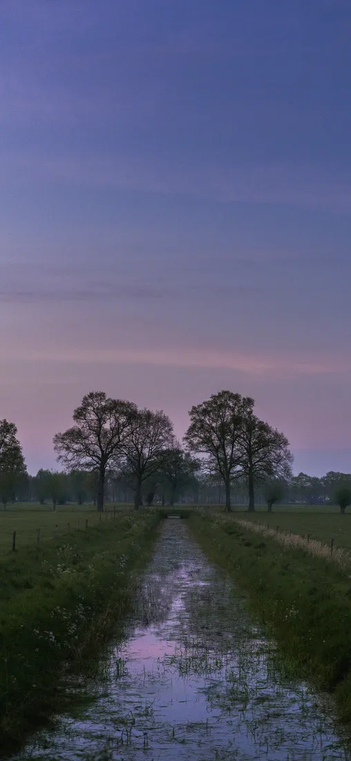 自然风景手机壁纸｜黄昏背景图片 - 晚霞草地树木「哲风壁纸」