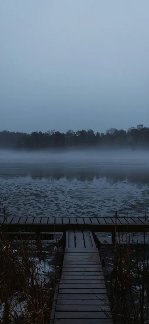 木桥湖边阴天手机壁纸｜自然风景背景图片 - 雾气树林湖水户外「哲风壁纸」