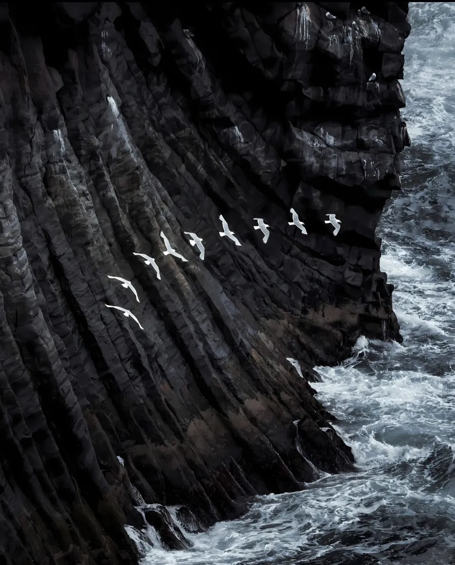 海洋海鸥礁石边手机壁纸｜自然风景背景图 - 海浪悬崖礁石「哲风壁纸」