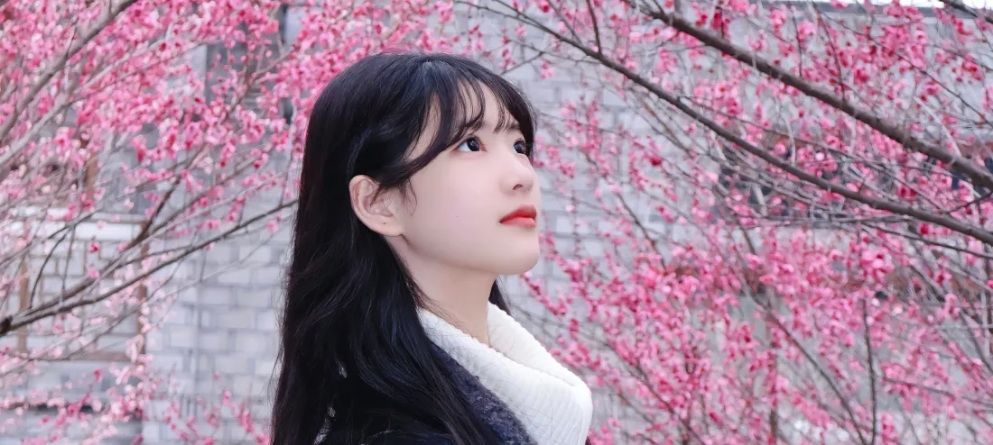 4k樱花美女壁纸｜粉色樱花背景 - 清纯美女「哲风壁纸」