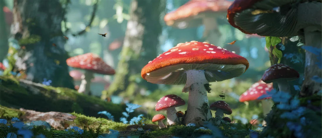 5k森林蘑菇壁纸｜自然风景背景 - 蘑菇群「哲风壁纸」