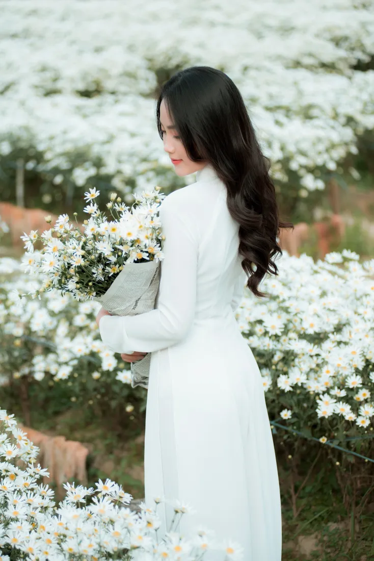 女孩手机壁纸｜雏菊花海背景图 - 白色长裙捧花「哲风壁纸」