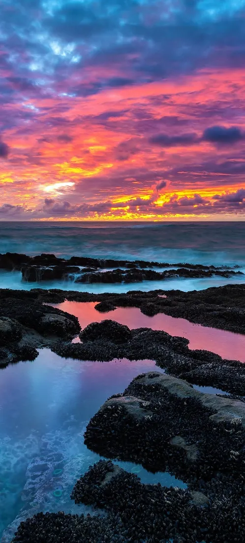 海岸晚霞手机壁纸｜礁石河流背景图片 - 自然治愈「哲风壁纸」
