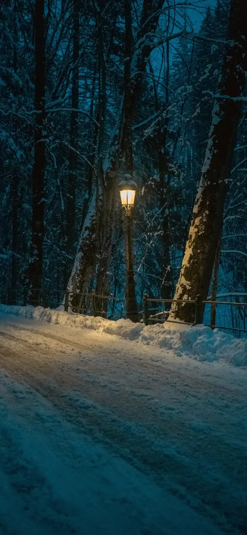 雪路手机壁纸｜冬日森林背景图片 - 暖光路灯「哲风壁纸」
